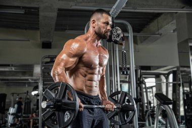 Çekici uzun kaslı vücut geliştirici. Moder fitness merkezinde ağırlık kaldırıyor..