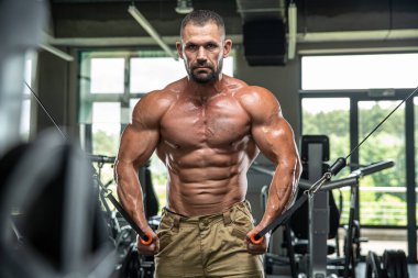 Çekici uzun kaslı vücut geliştirici. Moder fitness merkezinde ağırlık kaldırıyor..