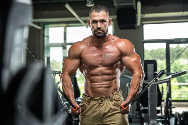 Çekici uzun kaslı vücut geliştirici. Moder fitness merkezinde ağırlık kaldırıyor..