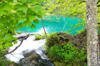 Plitvice Gölleri Milli Parkı, Croatias en popüler turistik