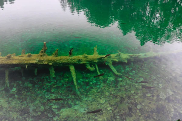 Plitvice Gölleri Milli Parkı Croatias Popüler Turistik — Stok fotoğraf