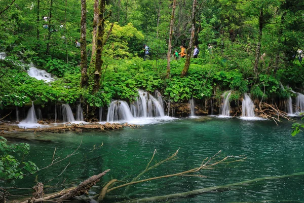 Plitvicei Tavak Nemzeti Park Croatias Leg Népszerű Turistalátványosság — Stock Fotó