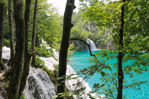 Plitvice Lakes National Park Kroatiens Populäraste Turistattraktion — Stockfoto