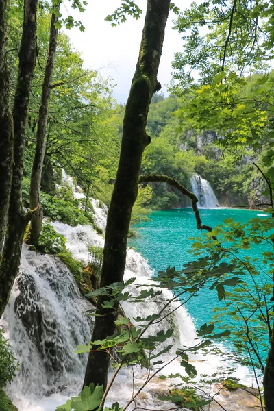 Parku Narodowego Jezior Plitwickich Najbardziej Popularną Atrakcją Turystyczną Croatias — Zdjęcie stockowe