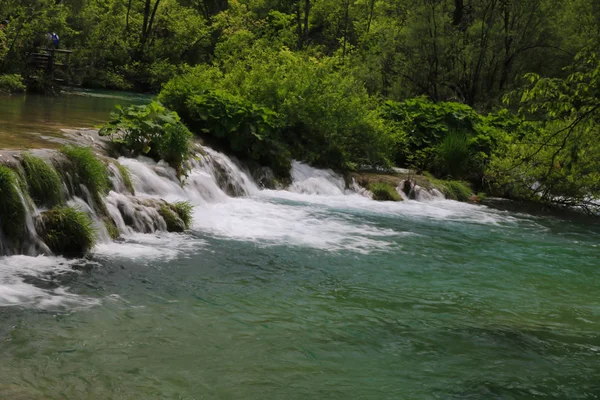 Het Nationaal Park Plitvicemeren Croatias Meest Populaire Toeristische Attractie — Stockfoto