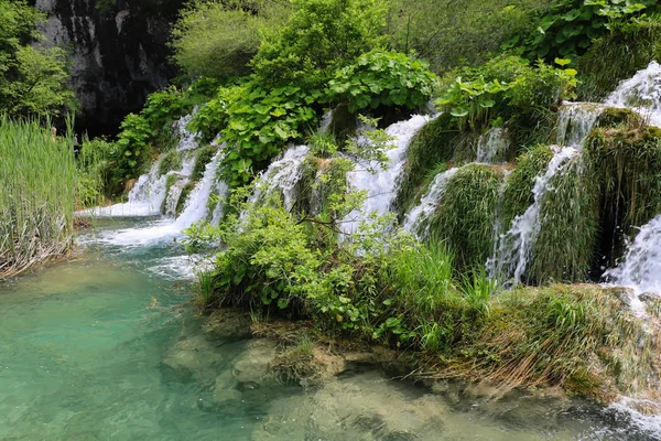 Parku Narodowego Jezior Plitwickich Najbardziej Popularną Atrakcją Turystyczną Croatias — Zdjęcie stockowe