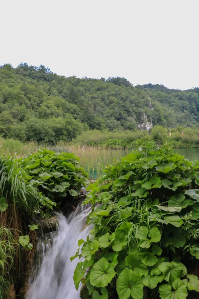 Het Nationaal Park Plitvicemeren Croatias Meest Populaire Toeristische Attractie — Stockfoto