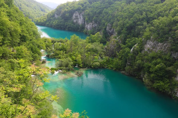 Parku Narodowego Jezior Plitwickich Najbardziej Popularną Atrakcją Turystyczną Croatias — Zdjęcie stockowe