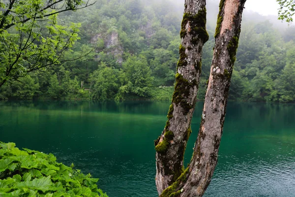 Parku Narodowego Jezior Plitwickich Najbardziej Popularną Atrakcją Turystyczną Croatias — Zdjęcie stockowe