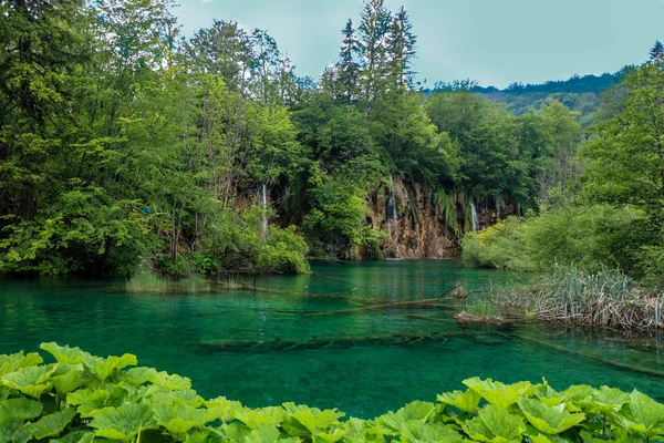 Plitvice Gölleri Milli Parkı, Croatias en popüler turistik.