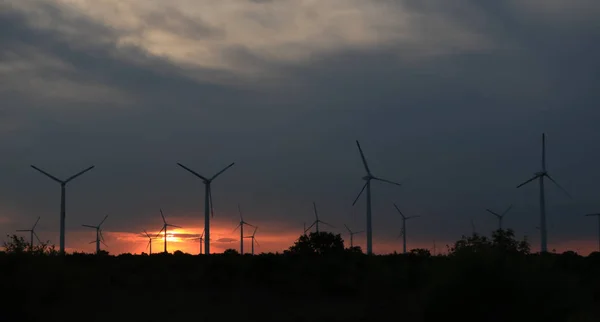 与风力涡轮机的傍晚景观 — 图库照片