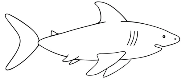 Žralok Vektorová Ilustrace Obrys Bílém Izolovaném Pozadí Velké Dravé Mořské — Stockový vektor