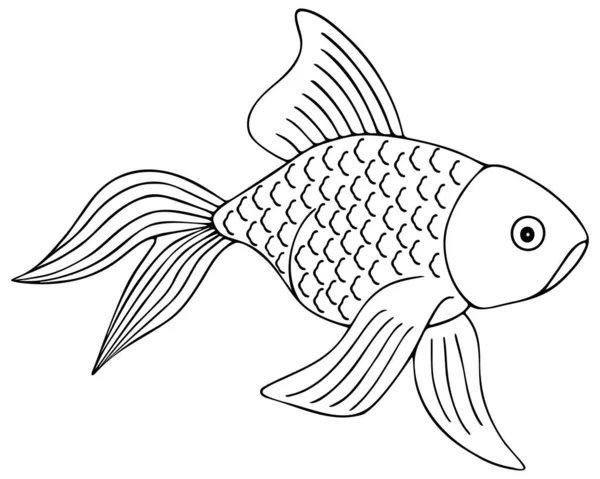 Золотая Рыбка Хвост Вентилятора Векторная Иллюстрация Контур Белом Изолированном Фоне — стоковый вектор