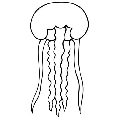 Denizanası. Aurelia 'yı duydum. Vektör çizimi. İzole edilmiş beyaz bir arkaplanda özet geç. Okyanusun sakini. Dokunaçlı deniz omurgasız hayvanı. El çizimi tarzı. Robot resim. Çocuklar ve yetişkinler için boyama kitabı. Web tasarımı için fikir, kitaplar.