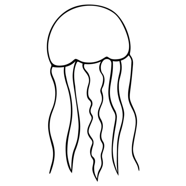 Medúza Ušlechtilá Aurelie Vektorová Ilustrace Obrys Bílém Izolovaném Pozadí Obyvatel — Stockový vektor