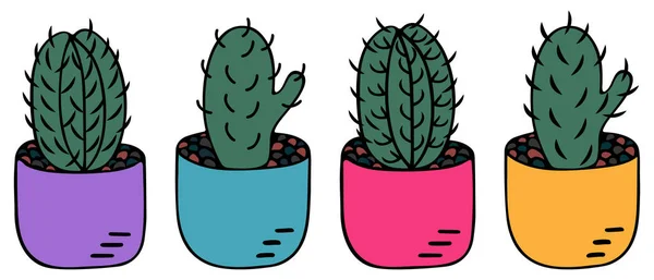 Cactus Pot Set Vector Illustrations Isolated White Background Indoor Plant — Stock Vector