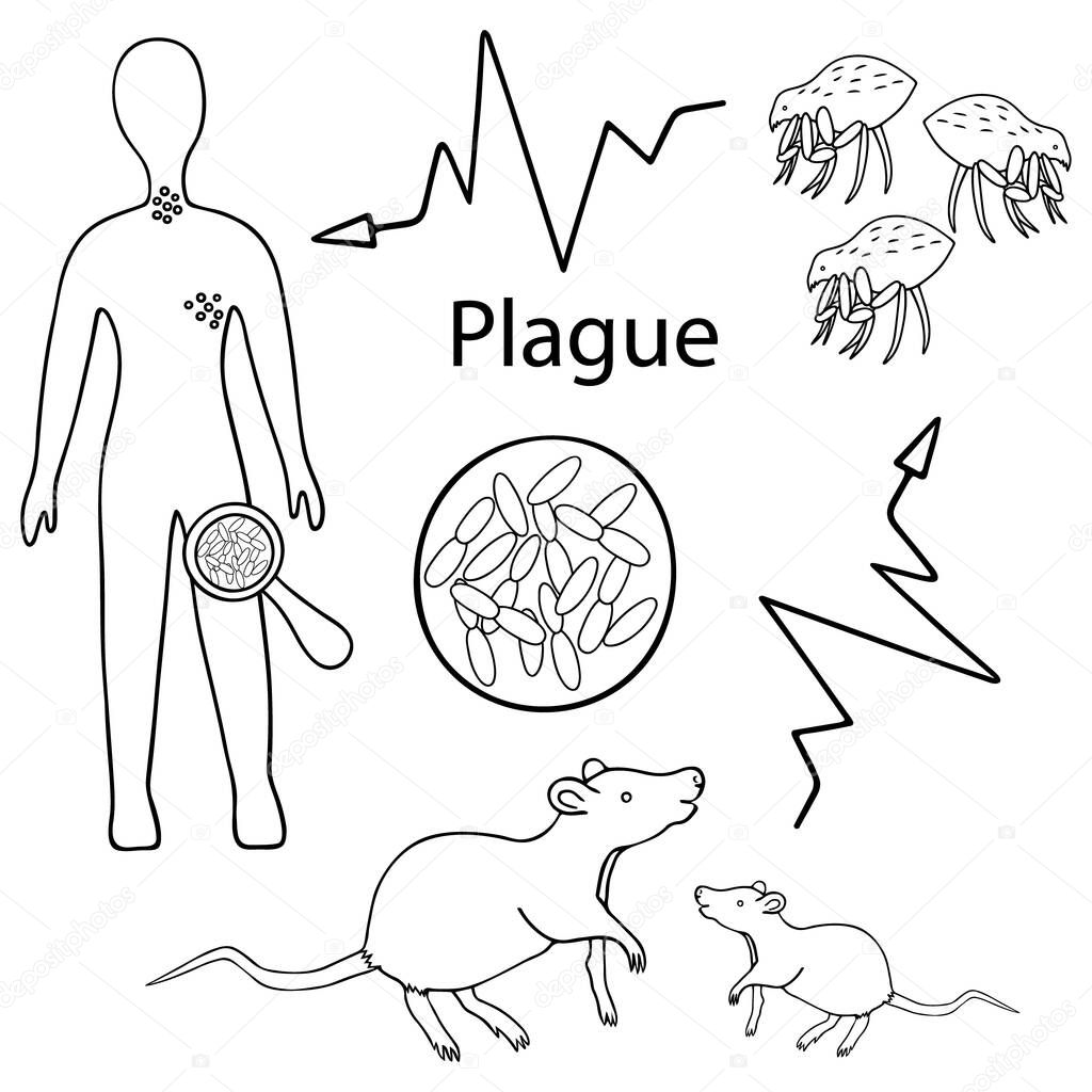 Bubonic plague. Warning. The scheme of infection with the plague bacterium: rat - flea - man. Vector. Sketch. Outline on an isolated white background. Doodle style. Coloring book. Science and medicine. Acute infectious disease. Web design, article.