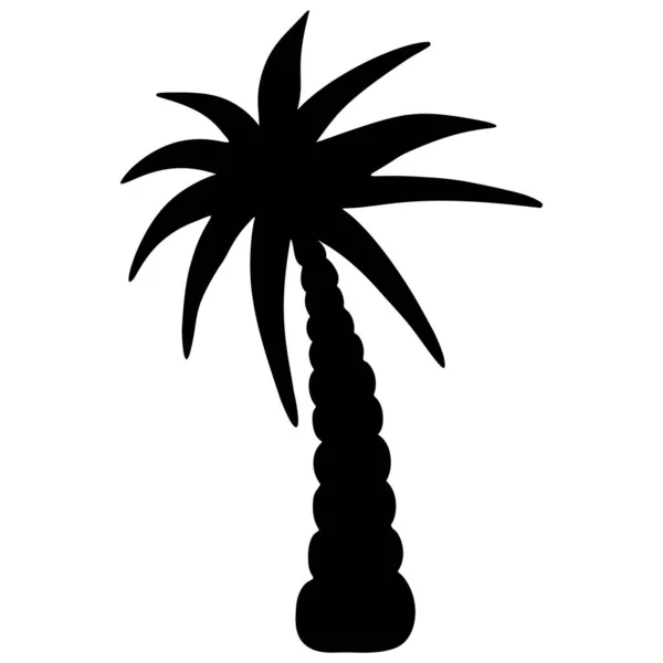 Tropický Strom Dlaně Silueta Vektorová Ilustrace Obrys Izolovaném Bílém Pozadí — Stockový vektor