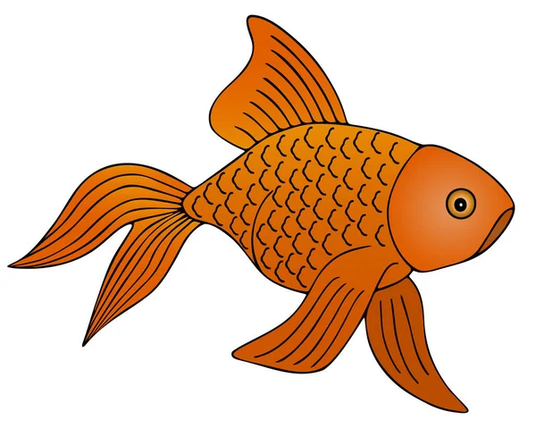 Pescado Dorado Mascota Ilustración Vector Color Fondo Blanco Aislado Habitante — Vector de stock