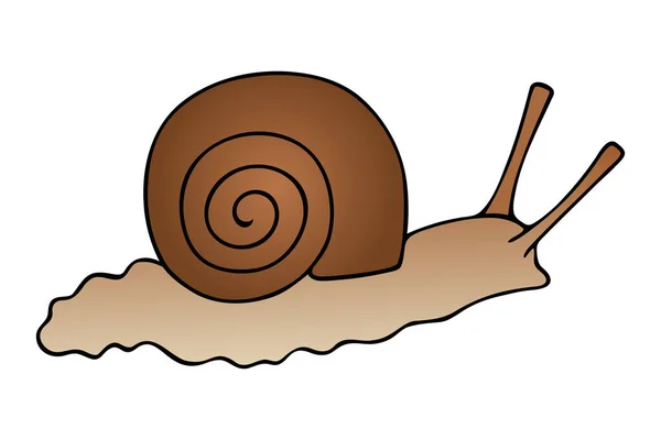 Mollusque Gastéropode Escargot Avec Une Coquille Vecteur Illustration Couleur Fond — Image vectorielle