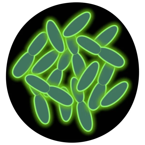 Seuchenstab Vektorillustration Umriss Auf Einem Isolierten Schwarzen Hintergrund Akute Infektionskrankheit — Stockvektor