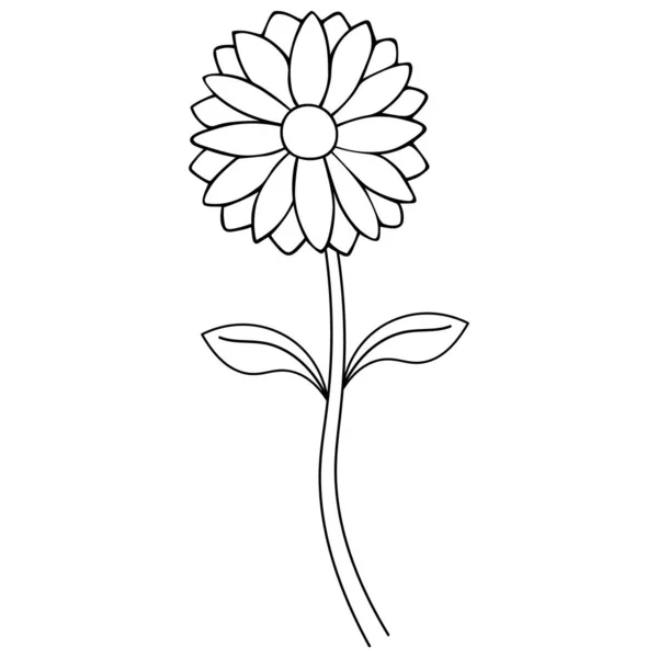 Met Daisy Bloemenschets Zomer Bloem Vector Illustratie Schets Een Geïsoleerde — Stockvector