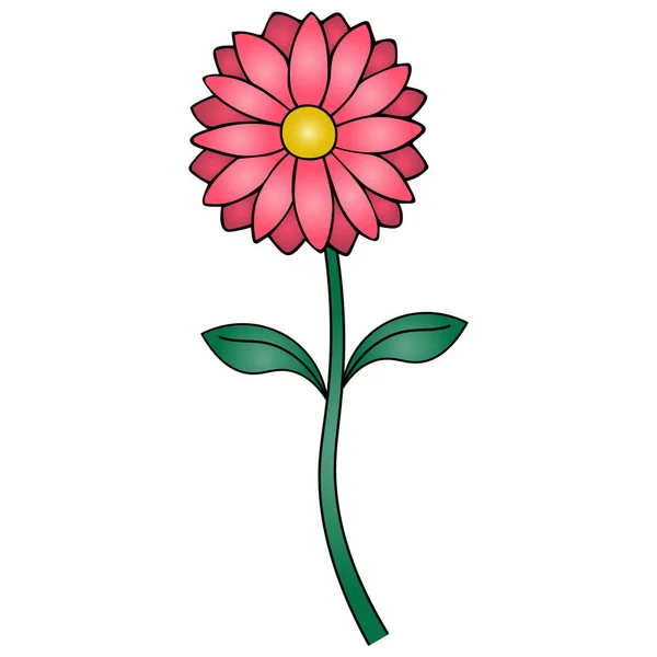 夏天的花黛西彩色矢量图解 孤立的白色背景 卡通风格 网页设计理念 美丽和新鲜的象征 来自Aster家族的多年生植物 — 图库矢量图片
