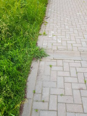 Taş patika, yeşil çimler yan tarafta.