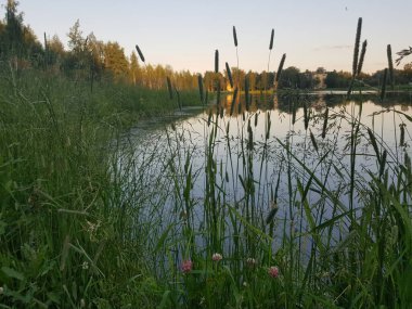 Gölün güzel yüzeyi, uzaklardan şehri görebilirsin.
