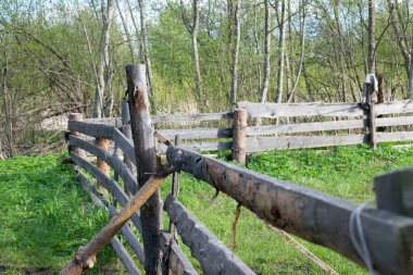 Otlaklar için eski çitler, yeşil çimlerin arkasında çürümüş.