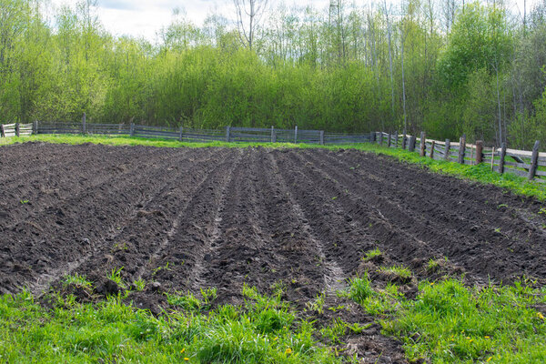 Овощной сад в России, черная пашня, борозды для посадки