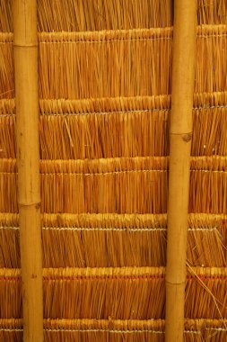 Bambu ve kuru 4 yapraklı ahşap desen.