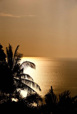 Güzellik manzara deniz arka plan üzerinde altın gün batımı ile