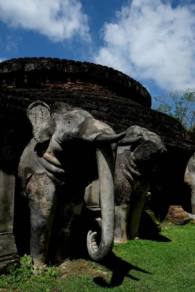 Stone Elephant Statues Base of Stupa at 