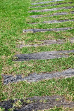 Yeşil bahçe açık yolda Ahşap merdiven