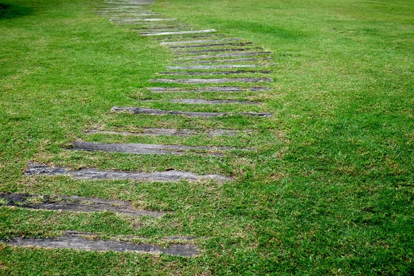 녹색 정원에 야외 나무 계단 길 — 스톡 사진