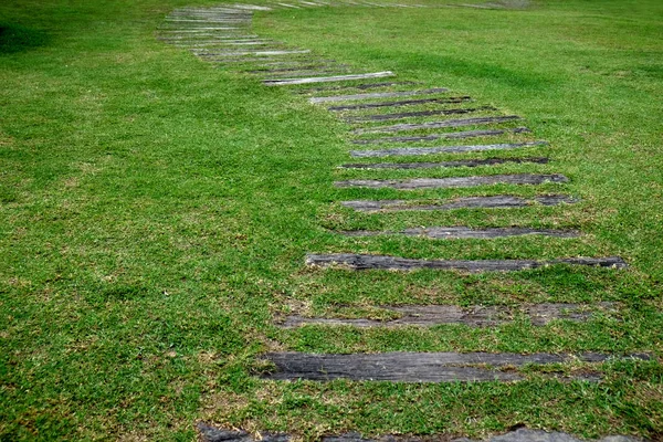 Escalier en bois sur jardin verdoyant extérieur — Photo