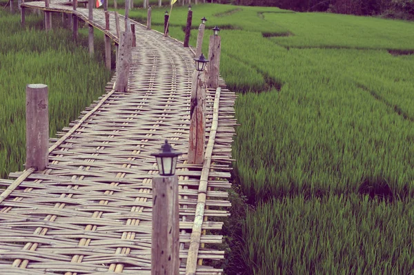 Arroz verde campo orgánico y puente de bambú, La hermosa escena —  Fotos de Stock