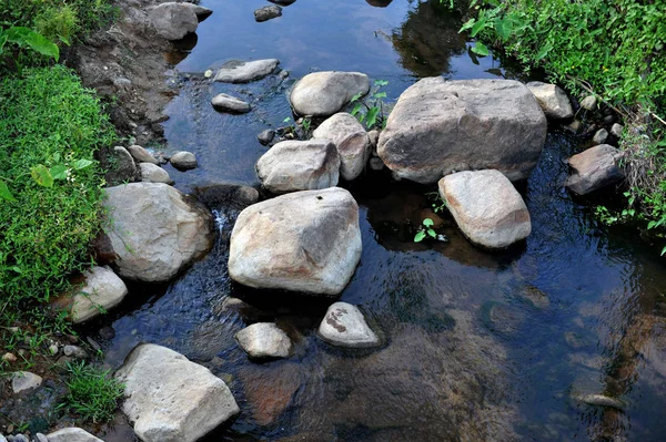 Floresta de montanha — Fotografia de Stock