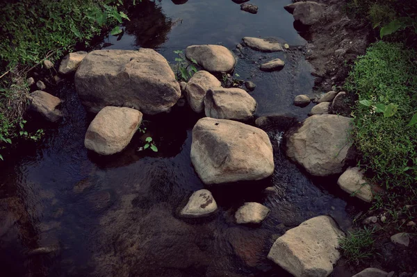 Mountain stream forest — Stockfoto