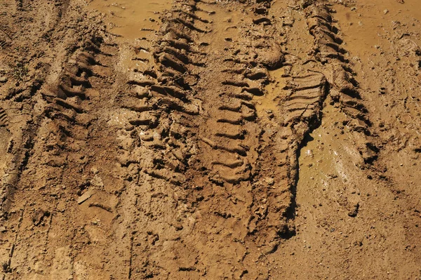Traces of wheeled vehicles used in agriculture on a dirt road — Stock Photo, Image