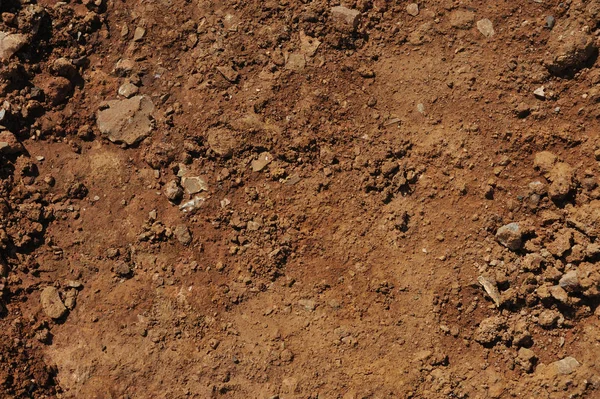 Traces of wheeled vehicles used in agriculture on a dirt road — Stock Photo, Image