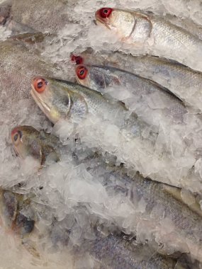 Pazarda taze balık var.