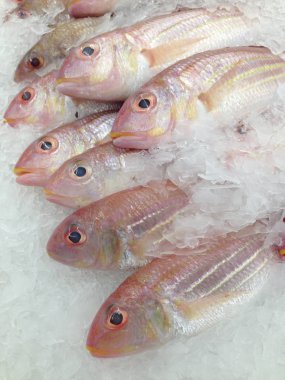 Pazarda taze balık var.