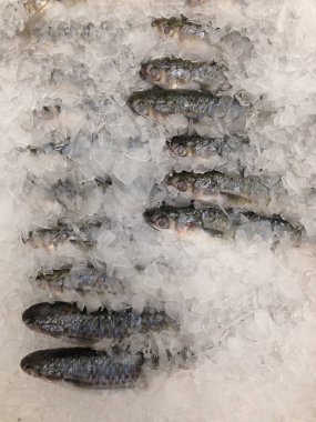 Pazarda taze balık var.