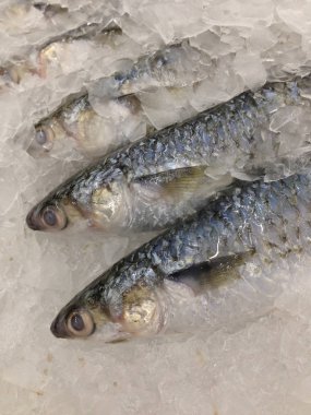 Pazarda taze balık var.