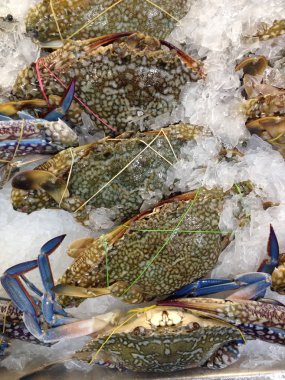 Piyasada buzda taze yengeç