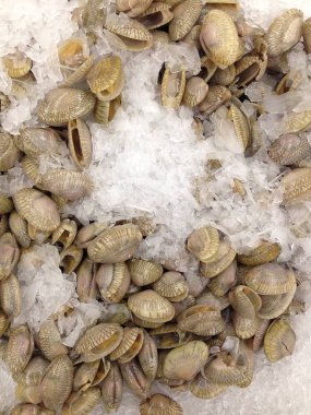 Piyasada buzda taze kabuklu deniz ürünleri