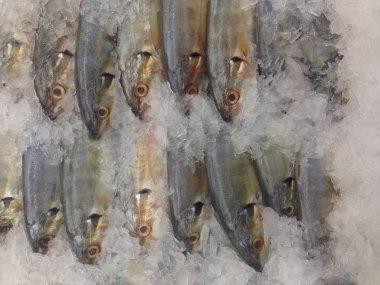 Pazarda taze balık var.