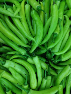 taze baharatlı yeşil acı biber